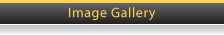 Image Gallery