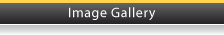 Image Gallery